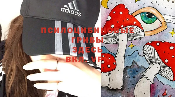 не бодяженный Верхний Тагил