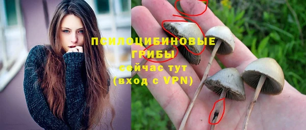 не бодяженный Верхний Тагил